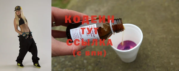 a pvp Бородино